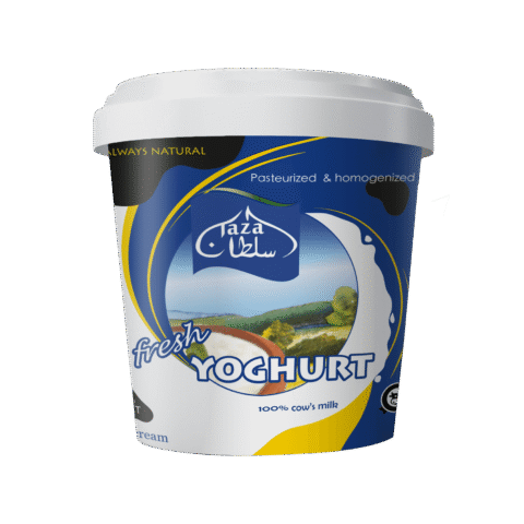 YOGHURT NORMAL KG (FULL CREAM)